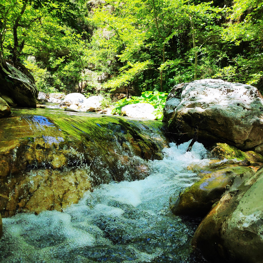 Kouiassa_Pouliana_Kipina_Monastery_185406_207