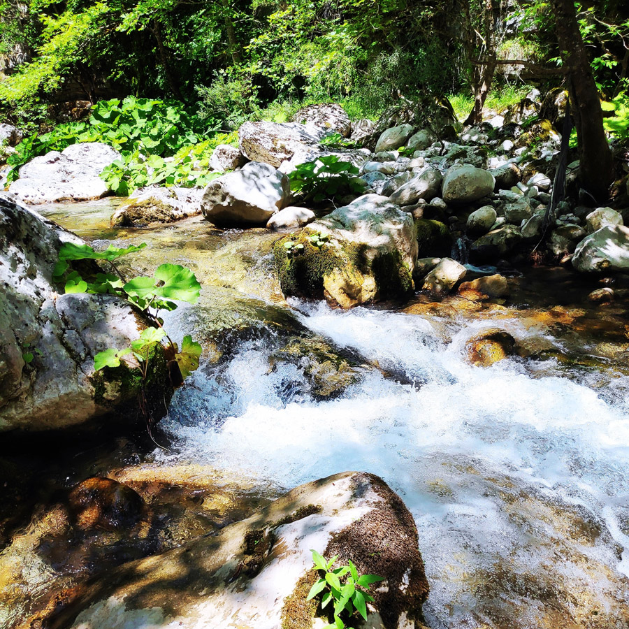 Kouiassa_Pouliana_Kipina_Monastery_185422_847