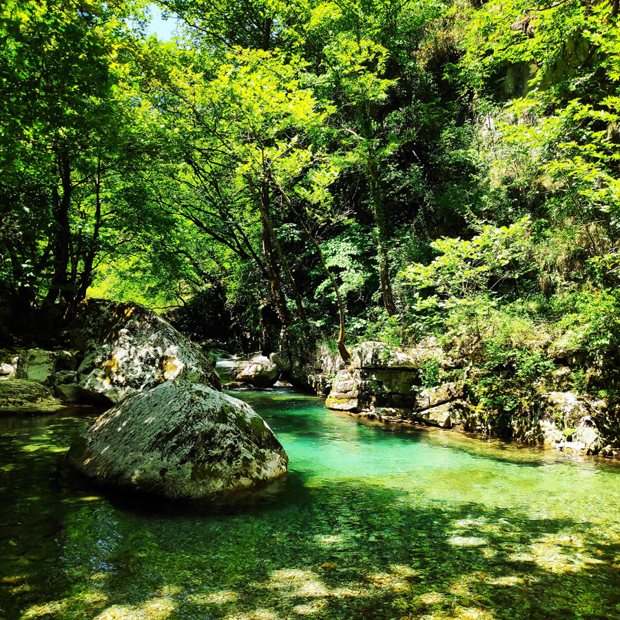 Kouiassa_Pouliana_Kipina_Monastery_185525_145