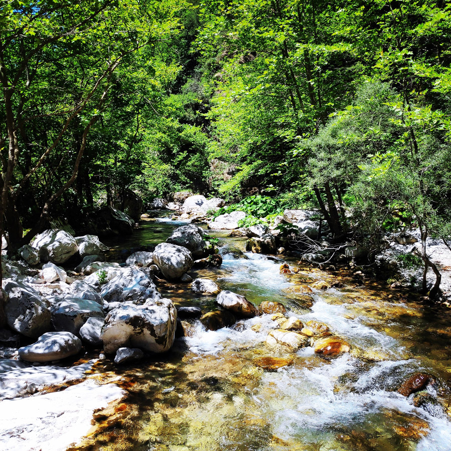 Kouiassa_Pouliana_Kipina_Monastery_190058_710