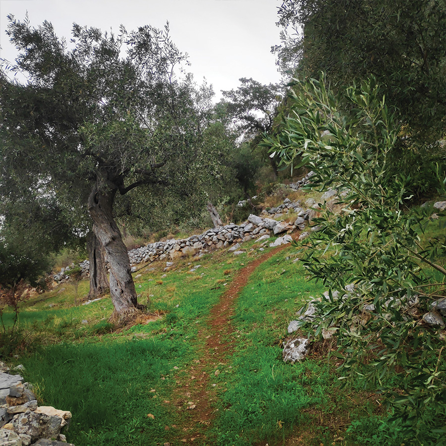 Climbing_Agios_Andreas_Crag_05