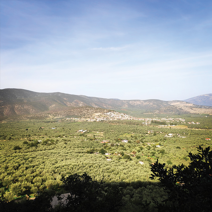 Climbing_Agios_Andreas_Crag_16