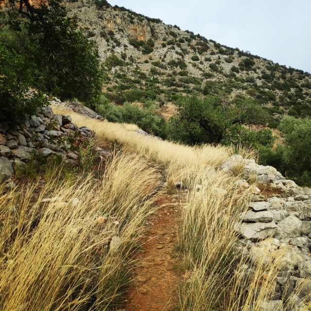 Climbing_Arcadia_Crag_04