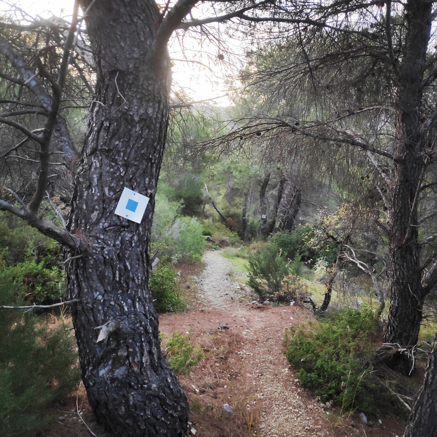 Hiking_West_Parnitha_Moni-Kliston_Panas-Cave_Arma_114417_906