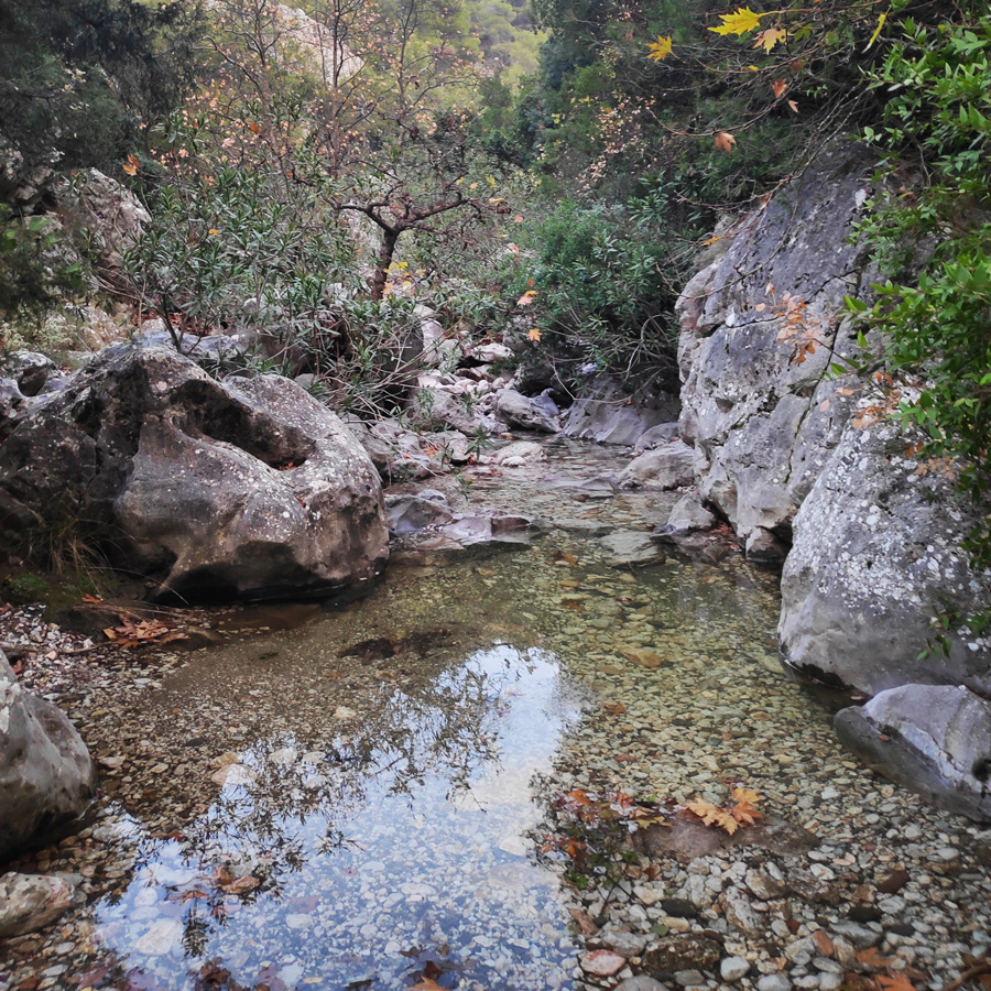 Hiking_West_Parnitha_Moni-Kliston_Panas-Cave_Arma_114448_722