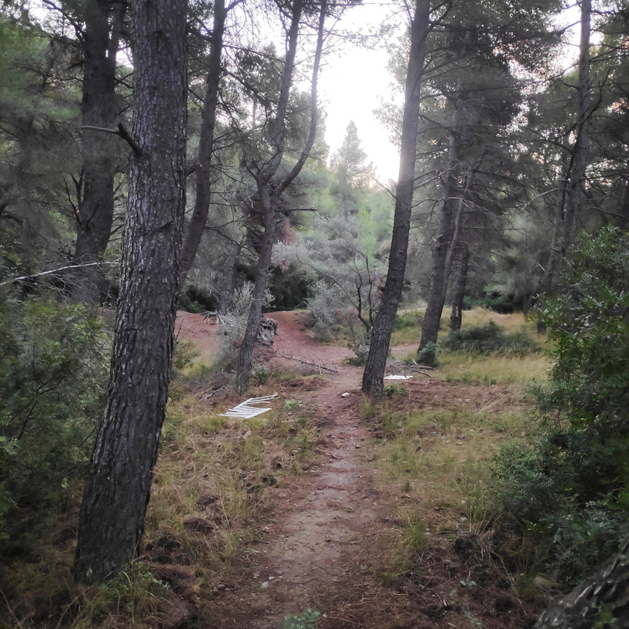 Hiking_West_Parnitha_Moni-Kliston_Panas-Cave_Arma_114522_956