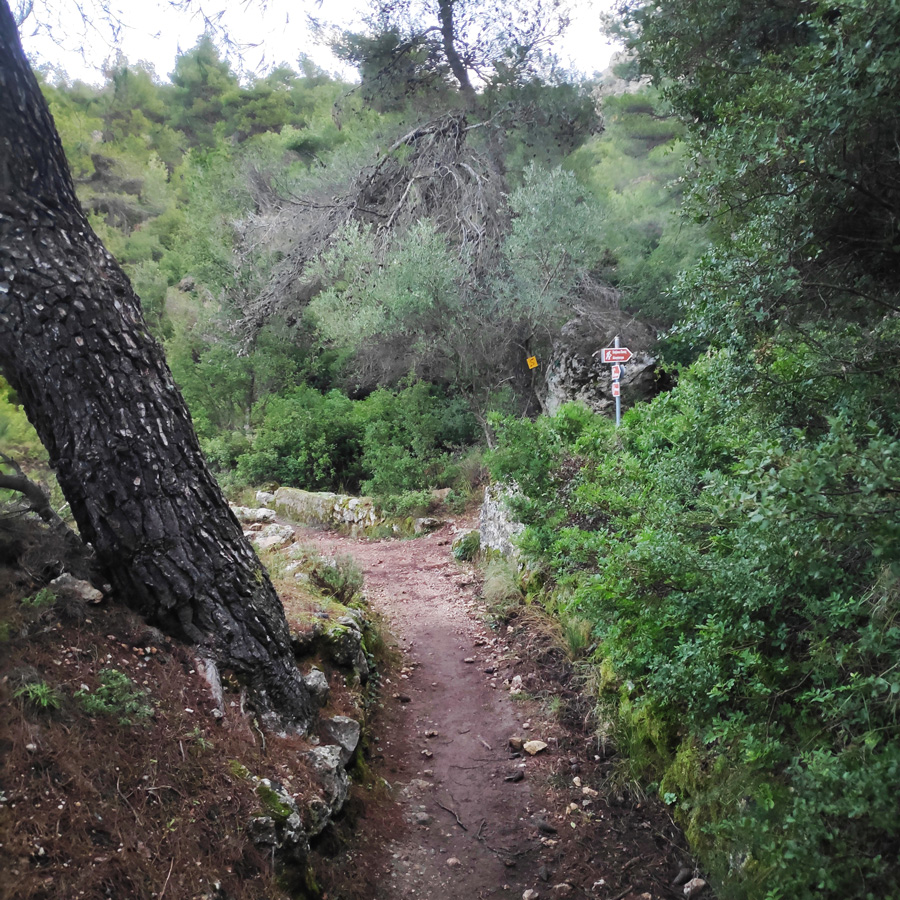 Hiking_West_Parnitha_Moni-Kliston_Panas-Cave_Arma_114735_480