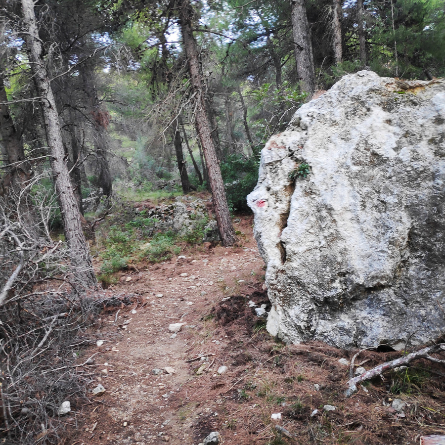 Hiking_West_Parnitha_Moni-Kliston_Panas-Cave_Arma_114830_998