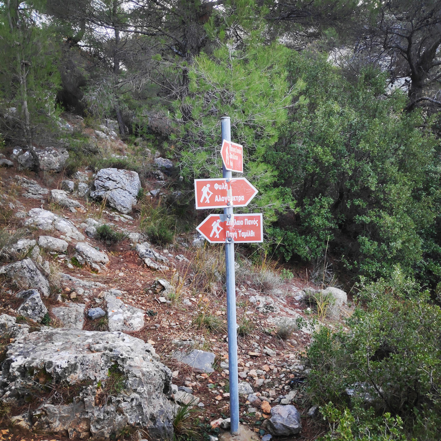 Hiking_West_Parnitha_Moni-Kliston_Panas-Cave_Arma_114903_863