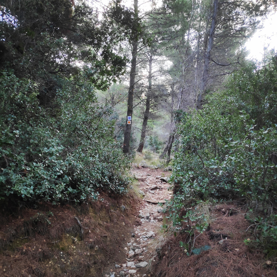 Hiking_West_Parnitha_Moni-Kliston_Panas-Cave_Arma_114931_174