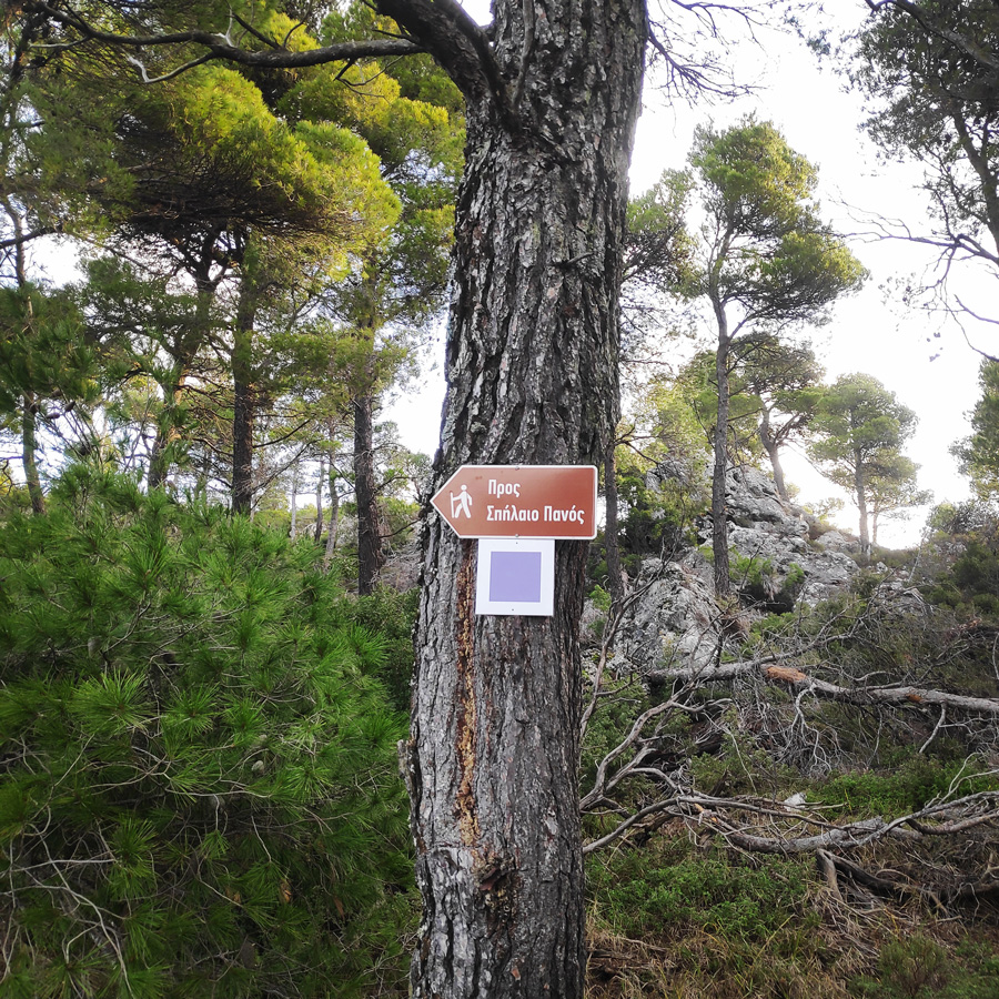 Hiking_West_Parnitha_Moni-Kliston_Panas-Cave_Arma_115113_206