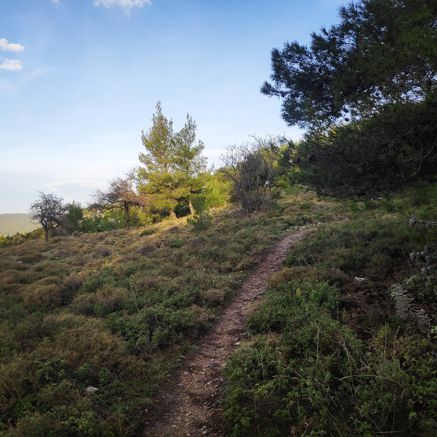 Hiking_West_Parnitha_Moni-Kliston_Panas-Cave_Arma_115144_058