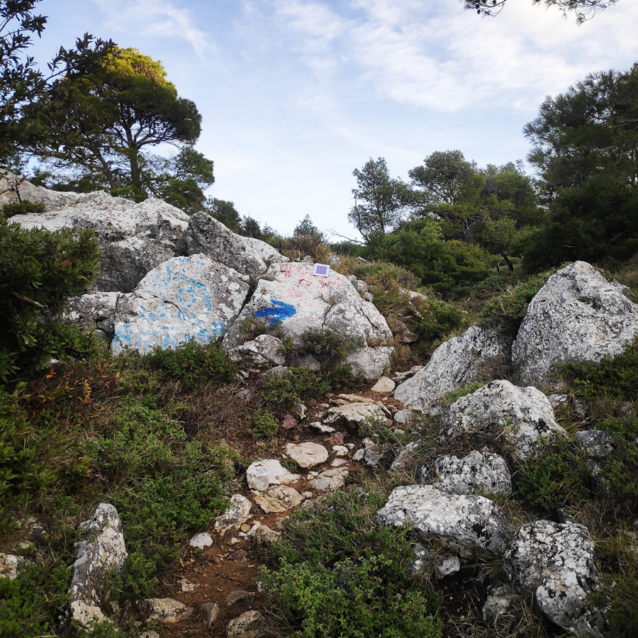 Hiking_West_Parnitha_Moni-Kliston_Panas-Cave_Arma_120454_711