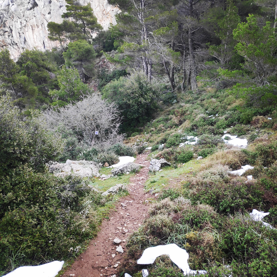 Hiking_West_Parnitha_Moni-Kliston_Panas-Cave_Arma_120544_177