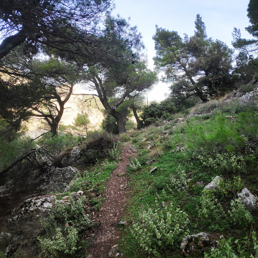 Hiking_West_Parnitha_Moni-Kliston_Panas-Cave_Arma_120608_757