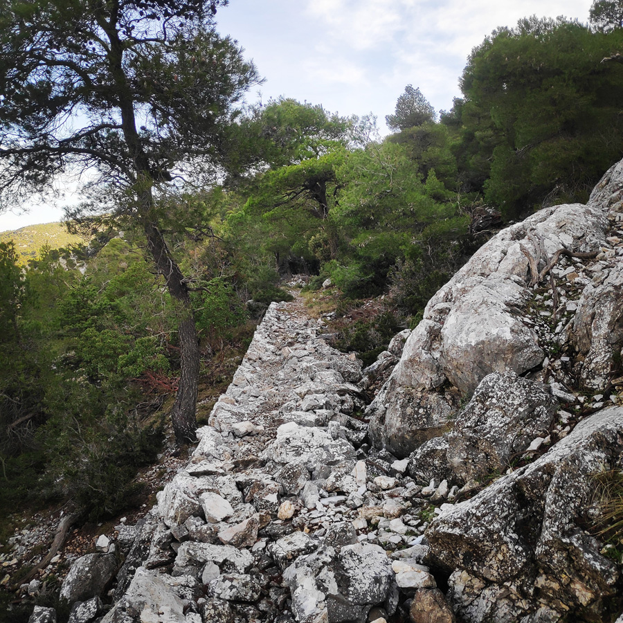 Hiking_West_Parnitha_Moni-Kliston_Panas-Cave_Arma_120844_385