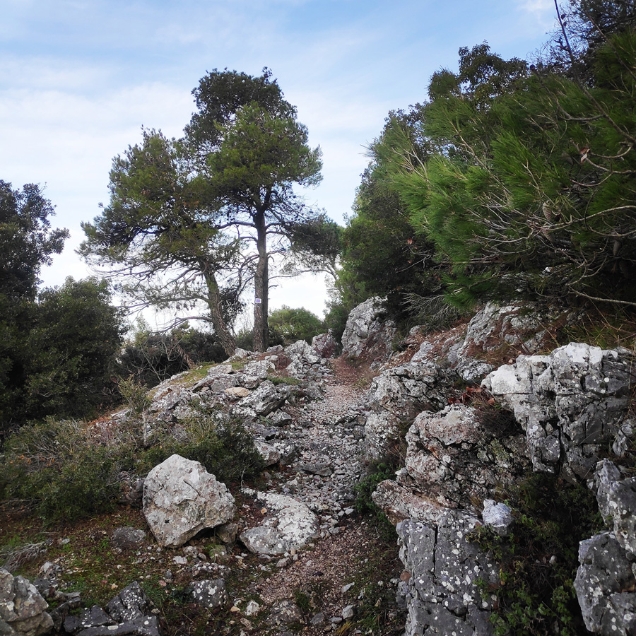 Hiking_West_Parnitha_Moni-Kliston_Panas-Cave_Arma_121137_760