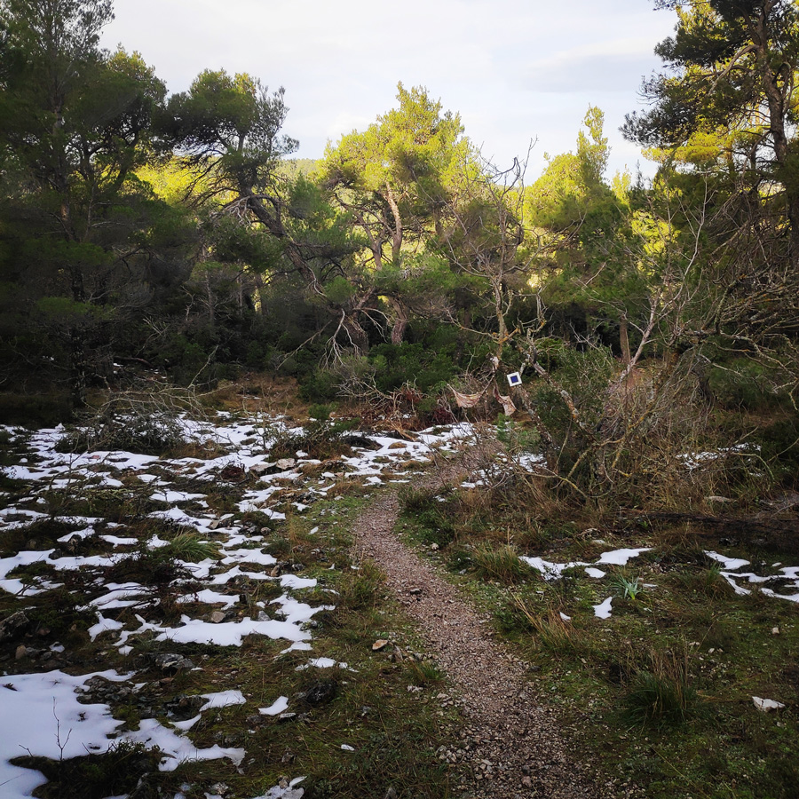 Hiking_West_Parnitha_Moni-Kliston_Panas-Cave_Arma_121302_053