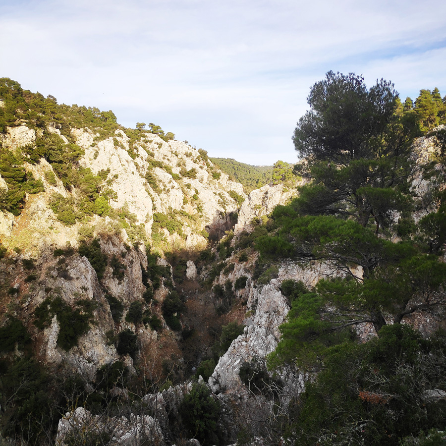 Hiking_West_Parnitha_Moni-Kliston_Panas-Cave_Arma_121349_259