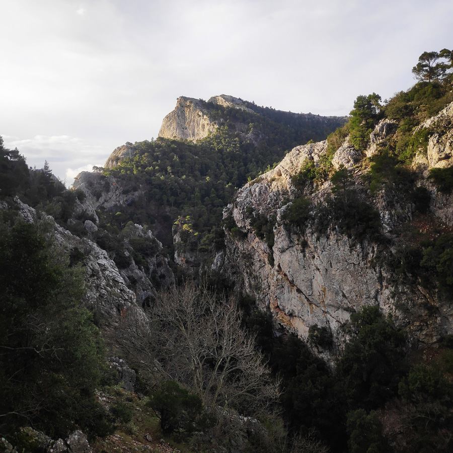 Hiking_West_Parnitha_Moni-Kliston_Panas-Cave_Arma_121410_341