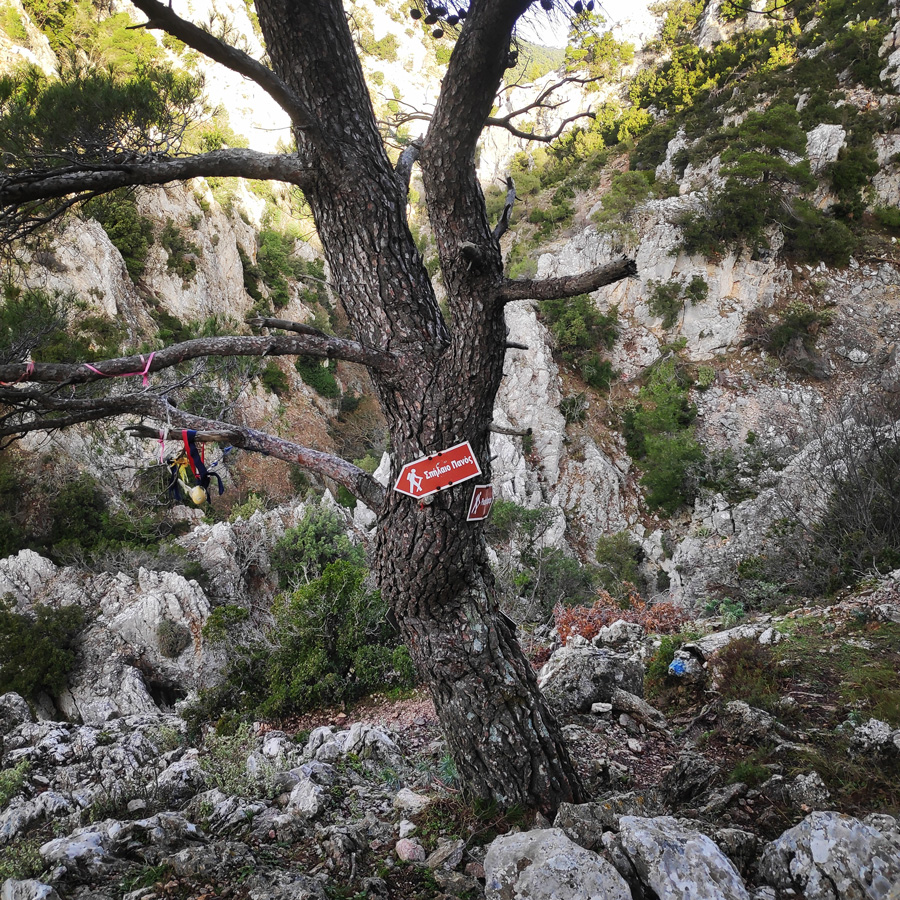 Hiking_West_Parnitha_Moni-Kliston_Panas-Cave_Arma_121429_132