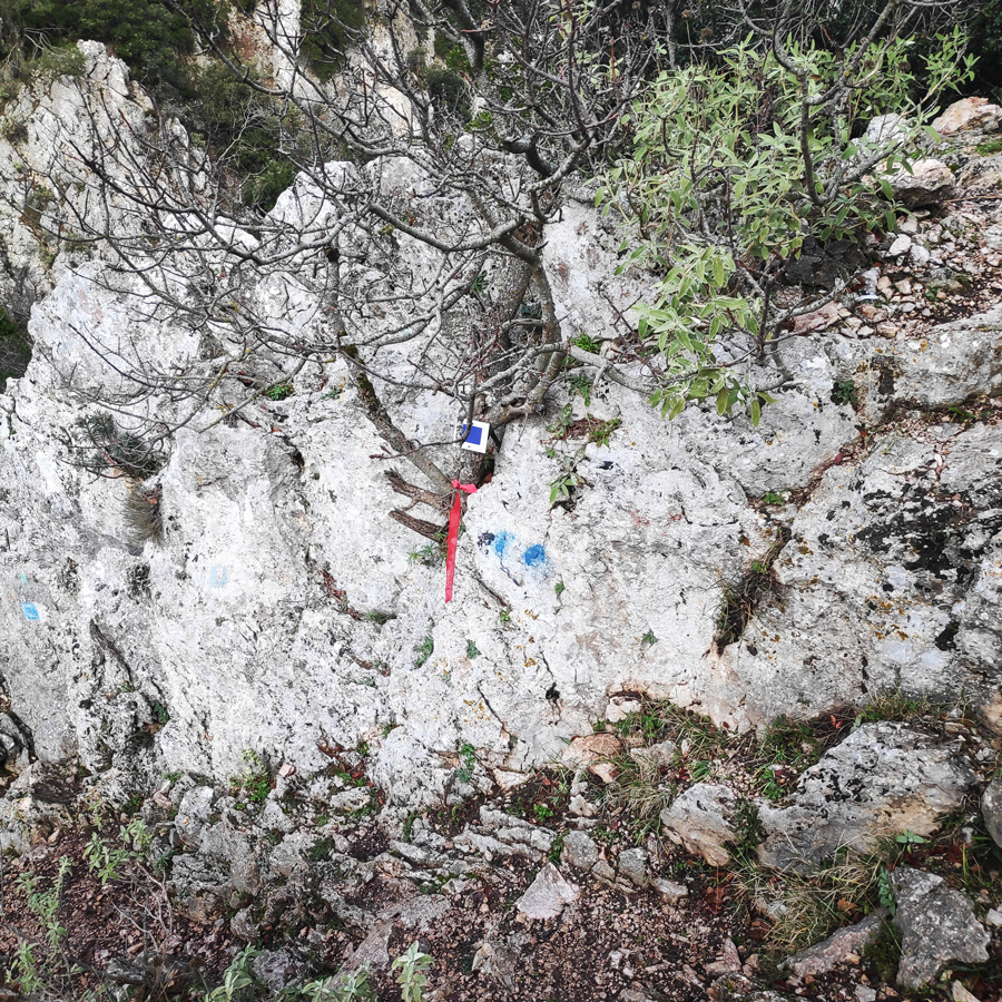 Hiking_West_Parnitha_Moni-Kliston_Panas-Cave_Arma_121627_713