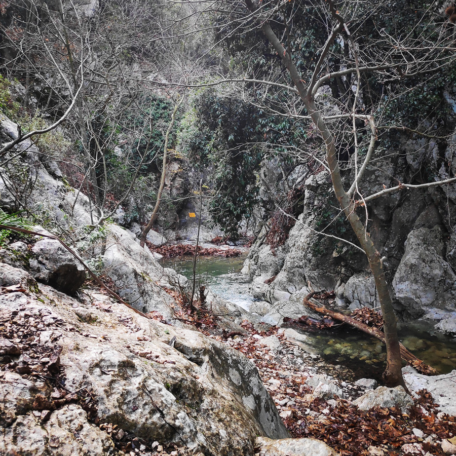 Hiking_West_Parnitha_Moni-Kliston_Panas-Cave_Arma_122215_405