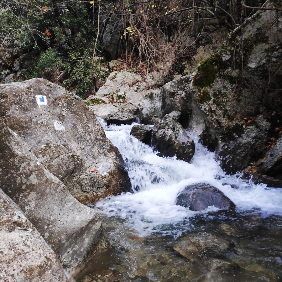 Hiking_West_Parnitha_Moni-Kliston_Panas-Cave_Arma_122239_058