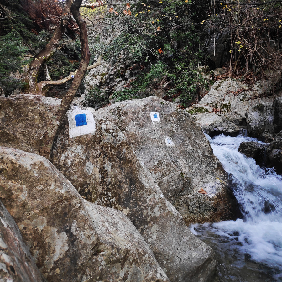 Hiking_West_Parnitha_Moni-Kliston_Panas-Cave_Arma_122303_559