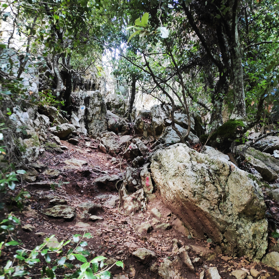 Hiking_West_Parnitha_Moni-Kliston_Panas-Cave_Arma_122323_339