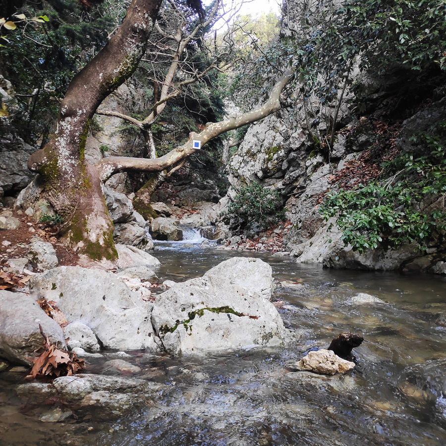 Hiking_West_Parnitha_Moni-Kliston_Panas-Cave_Arma_122349_602