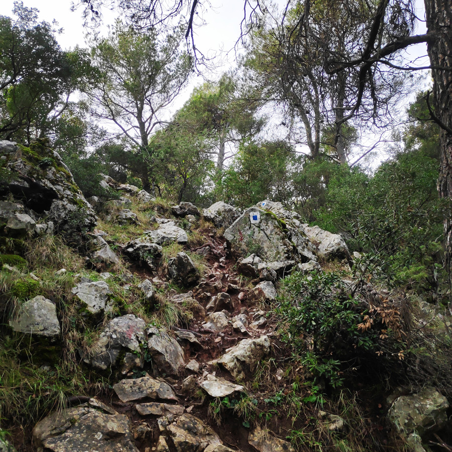 Hiking_West_Parnitha_Moni-Kliston_Panas-Cave_Arma_122538_470