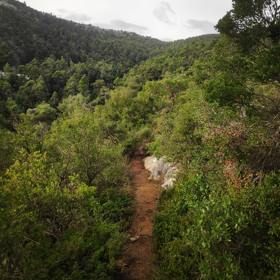 Hiking_West_Parnitha_Moni-Kliston_Panas-Cave_Arma_122610_088