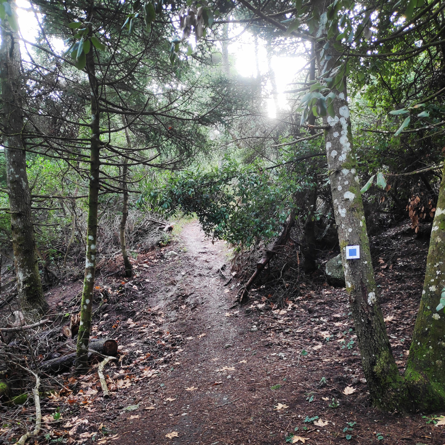 Hiking_West_Parnitha_Moni-Kliston_Panas-Cave_Arma_122628_708