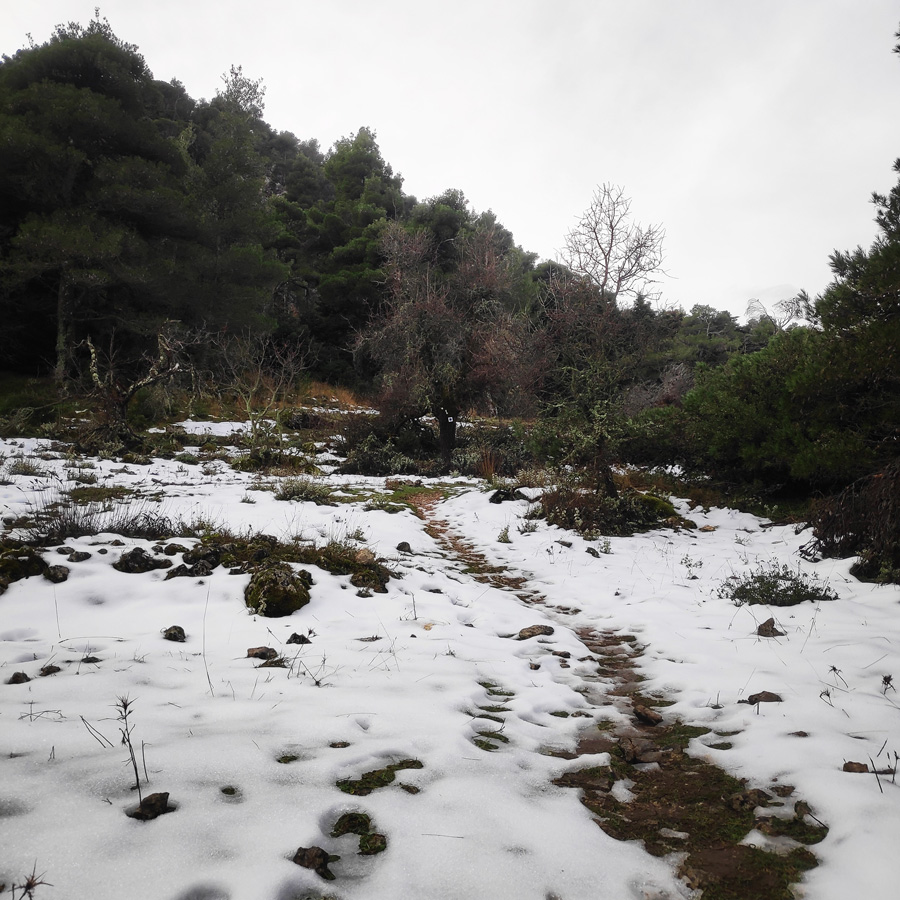 Hiking_West_Parnitha_Moni-Kliston_Panas-Cave_Arma_122656_603