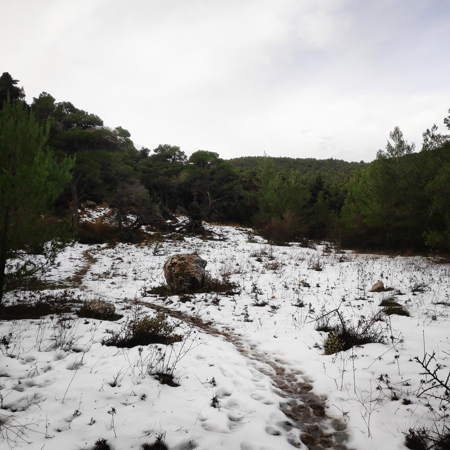 Hiking_West_Parnitha_Moni-Kliston_Panas-Cave_Arma_122718_636