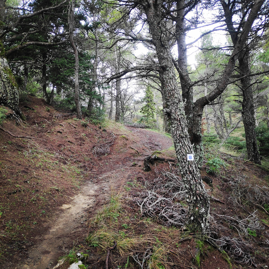 Hiking_West_Parnitha_Moni-Kliston_Panas-Cave_Arma_122814_607