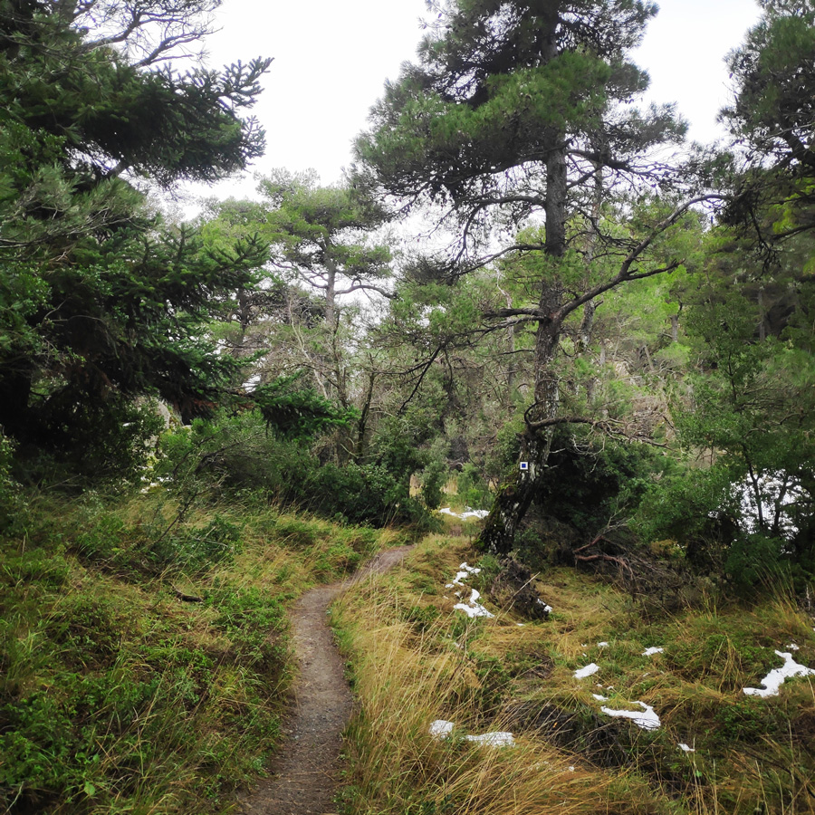 Hiking_West_Parnitha_Moni-Kliston_Panas-Cave_Arma_122858_071