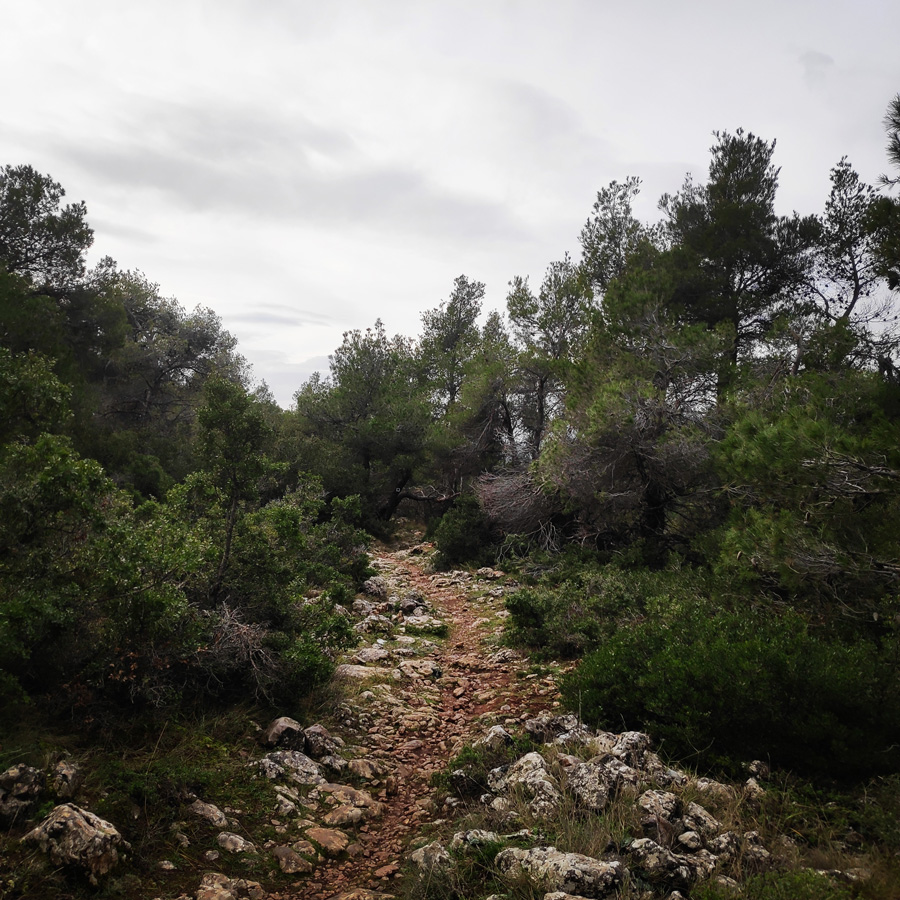 Hiking_West_Parnitha_Moni-Kliston_Panas-Cave_Arma_122928_320