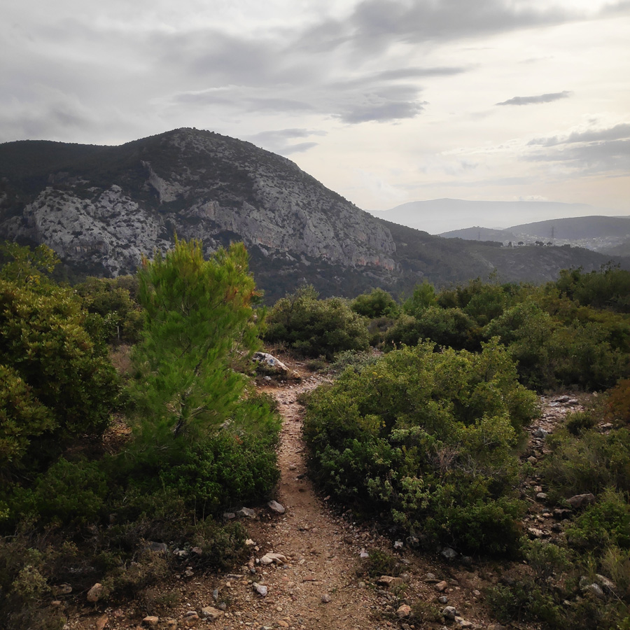 Hiking_West_Parnitha_Moni-Kliston_Panas-Cave_Arma_123135_428