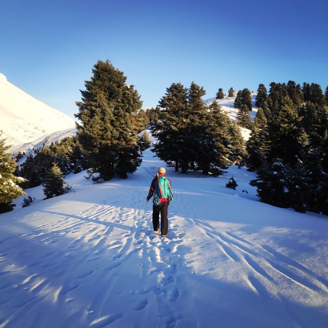 Mount_Dirfi_Dirfy_Mountain_Winter_Climb_033225_611