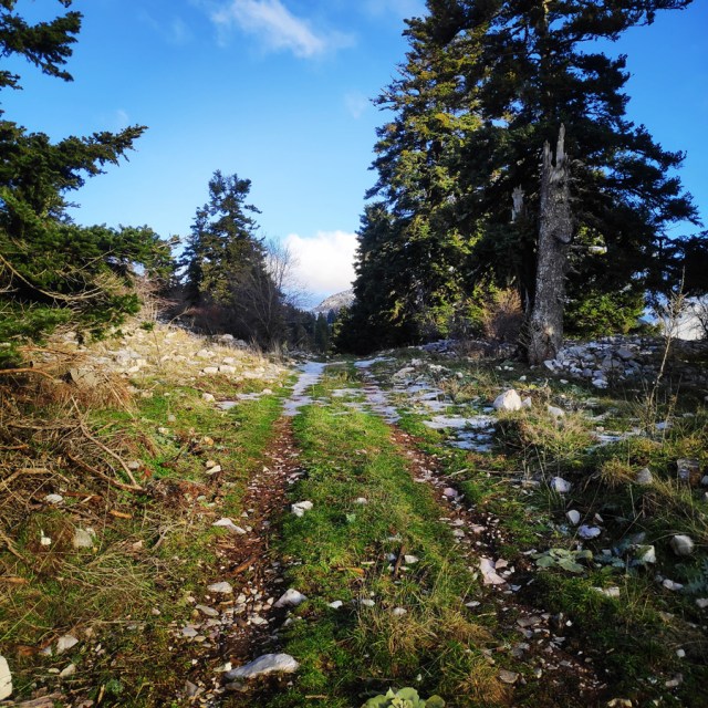 Hiking_Winter_Panaitoliko_144657_794