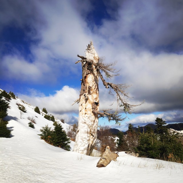 Hiking_Winter_Panaitoliko_145824_515