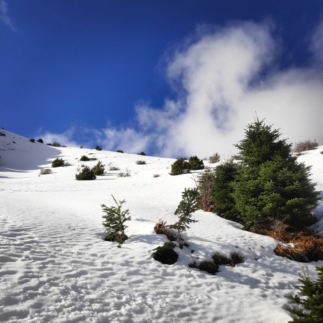 Hiking_Winter_Panaitoliko_145845_210