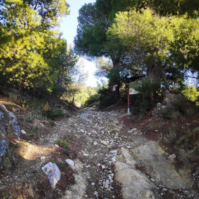 Parntha_Agios_Kiprianos_Koromilia_Tamilthi_Alogopetra_183414_926