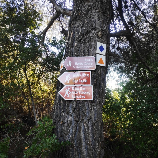 Parntha_Agios_Kiprianos_Koromilia_Tamilthi_Alogopetra_183442_684