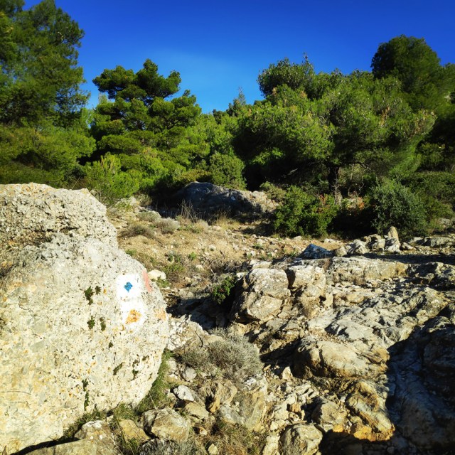 Parntha_Agios_Kiprianos_Koromilia_Tamilthi_Alogopetra_183537_486