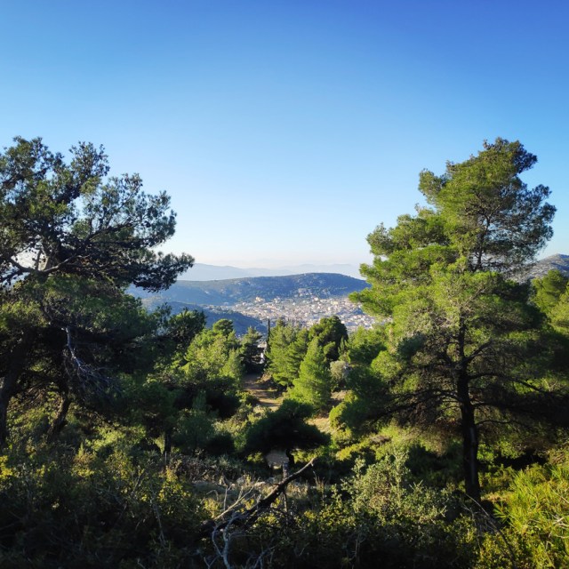 Parntha_Agios_Kiprianos_Koromilia_Tamilthi_Alogopetra_183608_821