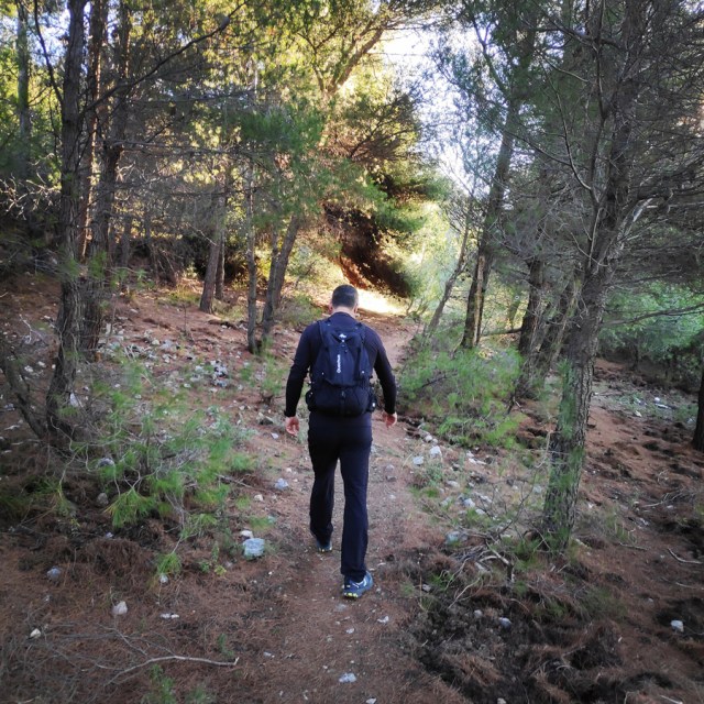 Parntha_Agios_Kiprianos_Koromilia_Tamilthi_Alogopetra_183640_554