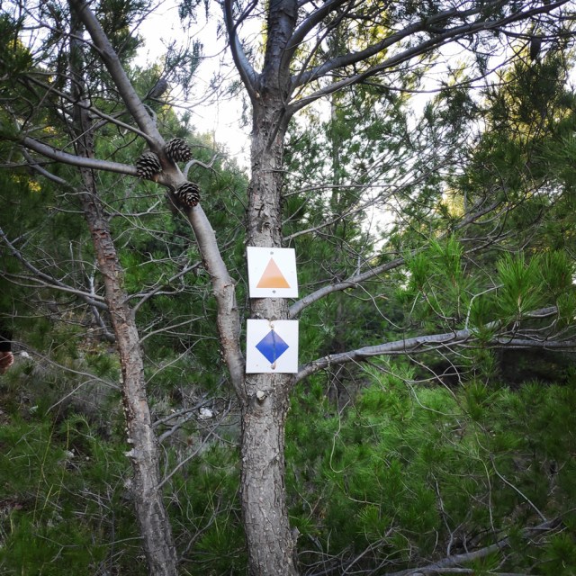 Parntha_Agios_Kiprianos_Koromilia_Tamilthi_Alogopetra_183724_207